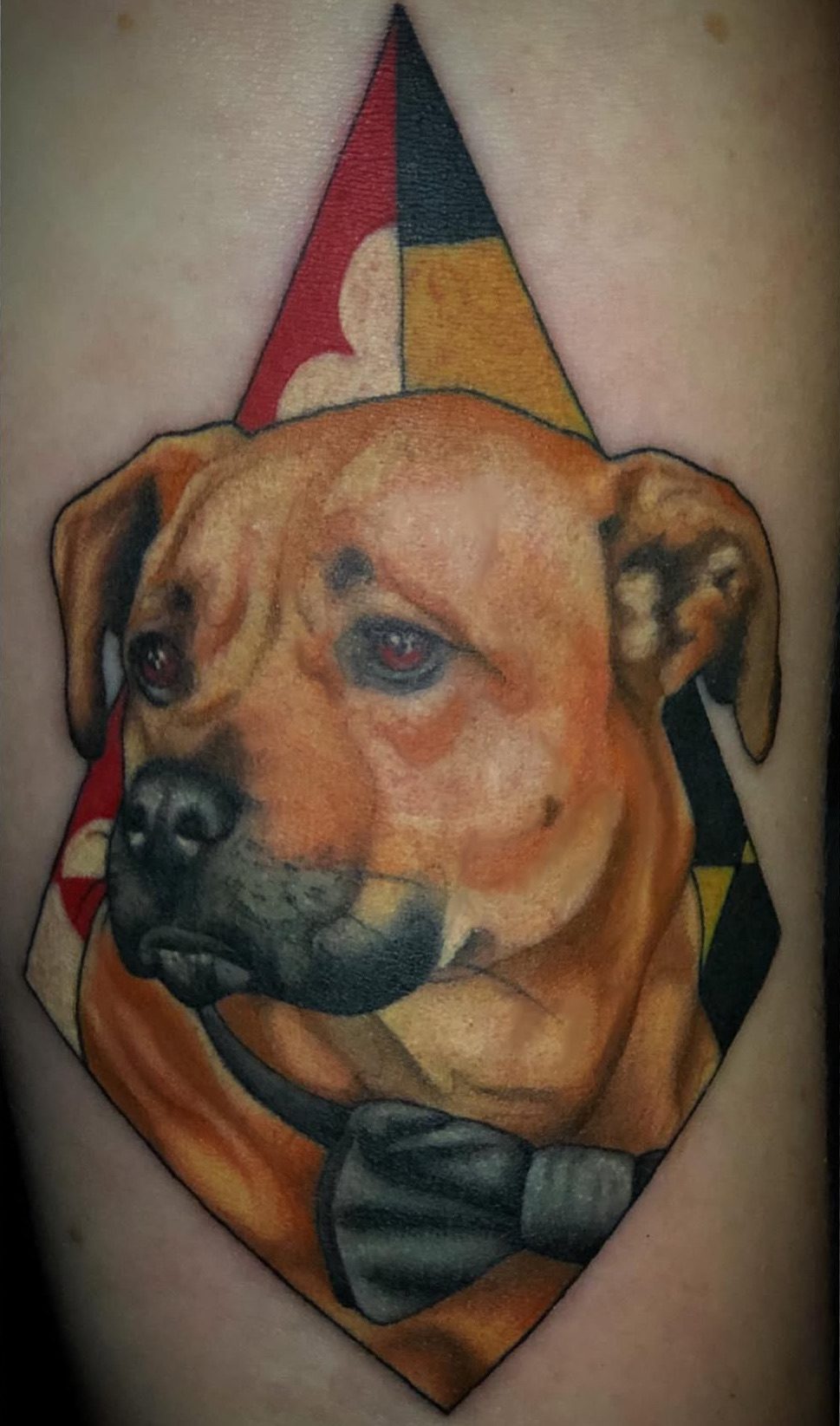 Pet Portrait tattoo by Ebb and Flow