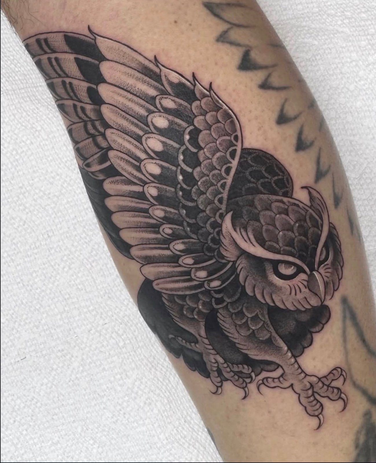 Owl Realism tattoo by Lexi at Ebb and Flow